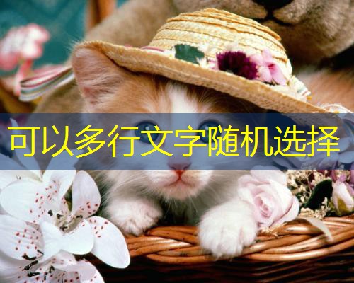 魔力宝贝快速提升战斗力技巧攻略(魔力宝贝快速提升战斗力技巧攻略图)