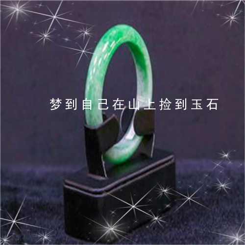 辉煌登场：成就宠物大师之名